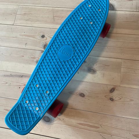 Penny 22 in skateboard