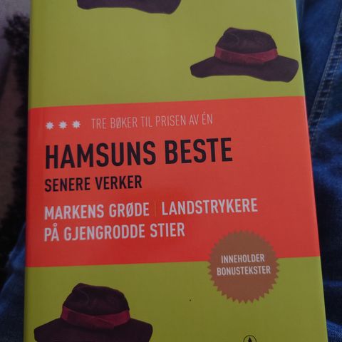 Knut Hamsun - tre bøker i en