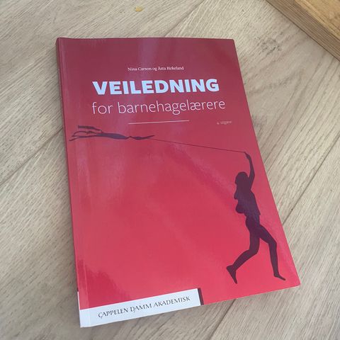 Veiledning for barnehagelærere