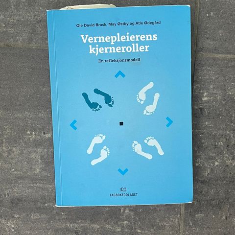 Faglitteratur til vernepleierstudiet