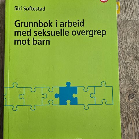 Grunnbok I arbeid med seksuelle overgrep mot barn