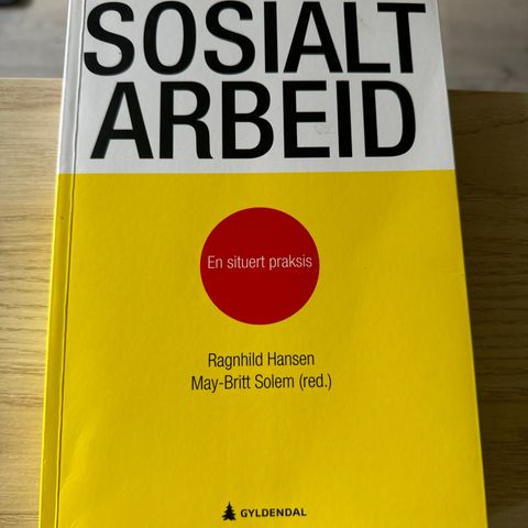 Sosialt arbeid - en situert praksis