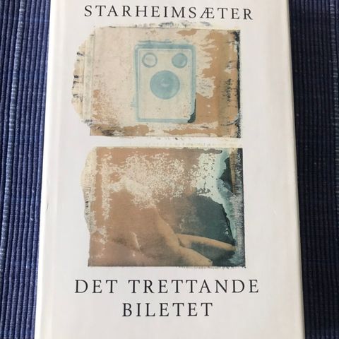 Hermann Starheimsæter: Det trettande biletet.