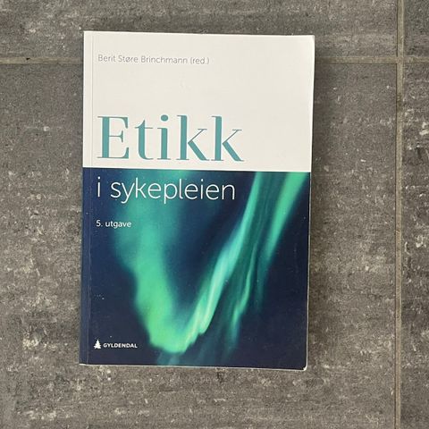 Etikk i sykepleien