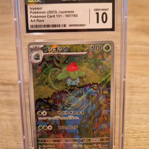 Pokemon Ivysaur japanese