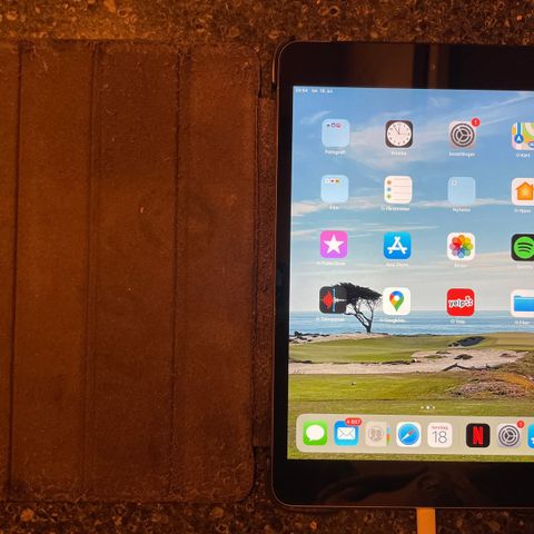 iPad Mini