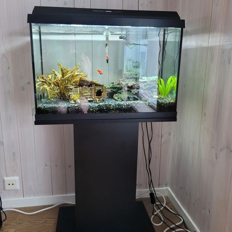 Juwel akvarium 70 liter + bord (svart farge) selges