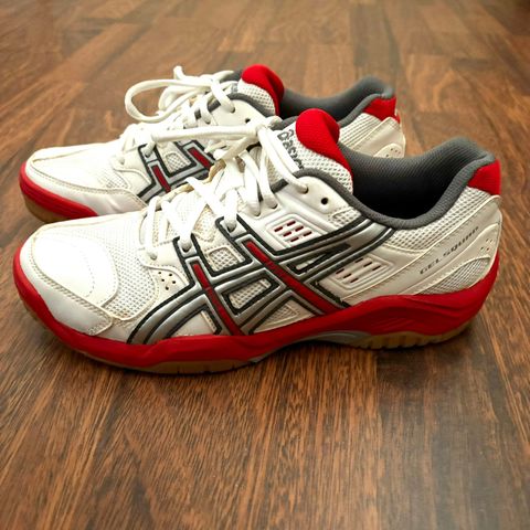 Asics Gel Squad hallsko str.39,5