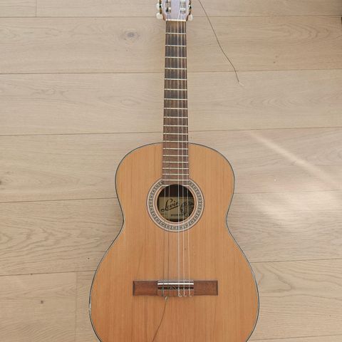 Gitar Levin (reservert ut 26.07)