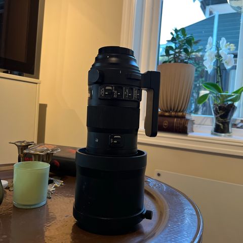 Sigma 150-600mm f/5-6.3 DG OS HSM sport