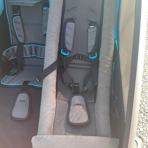 Thule Chariot Infant Sling