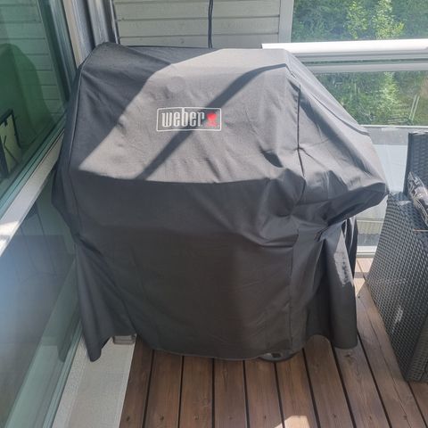 Weber Spirit E-310