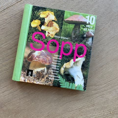 Sopp, 10 sikre på topp av Beathe Slipher