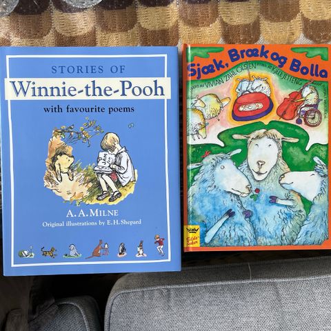 To fine barnebøker