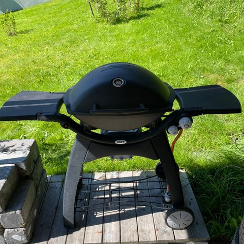 Weber Q3000