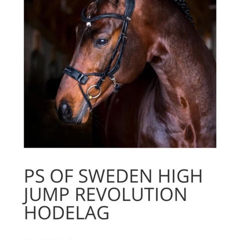 Sort Ps of sweeden high jump hodelag str full