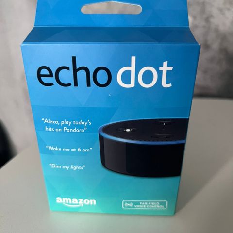 Echo dot vekkerklokke