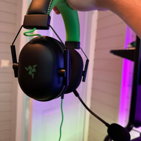 Razer Blackshark V2 Gamingheadset