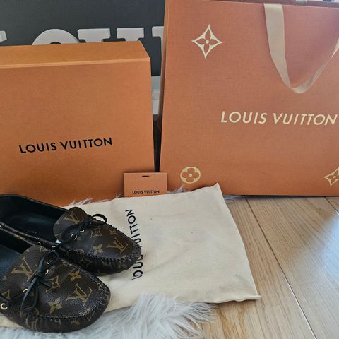 Louis vuitton sko