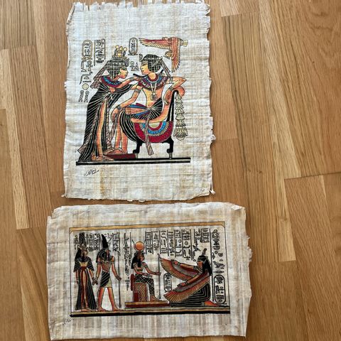 Papyrus bilder
