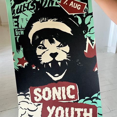 Sonic Youth. Øya 08 plakater