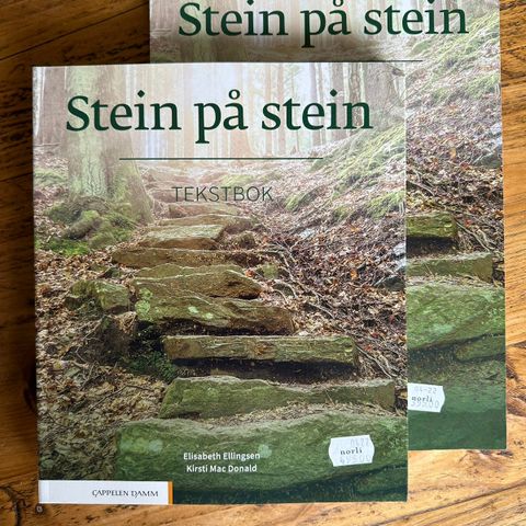 Stein på stein - Norsk arbeidsbok and tekstbok