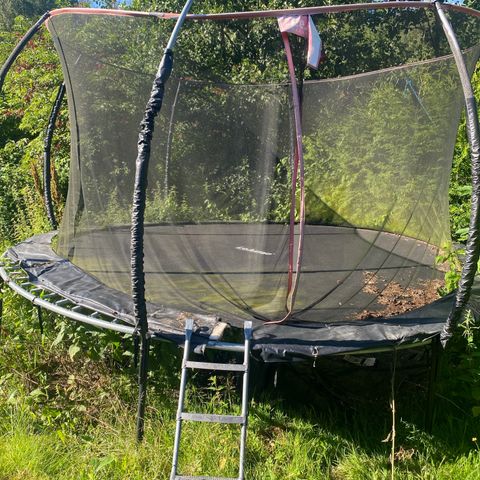 LE- Jump trampoline