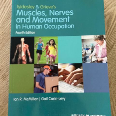 Muscles, nerves and movement in human occupation