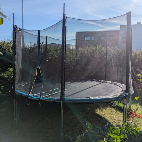 Trampoline