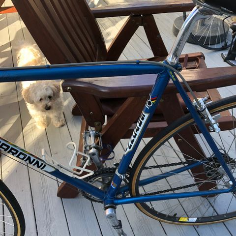 Smykke fra 70 tallet. Colnago/Saronni