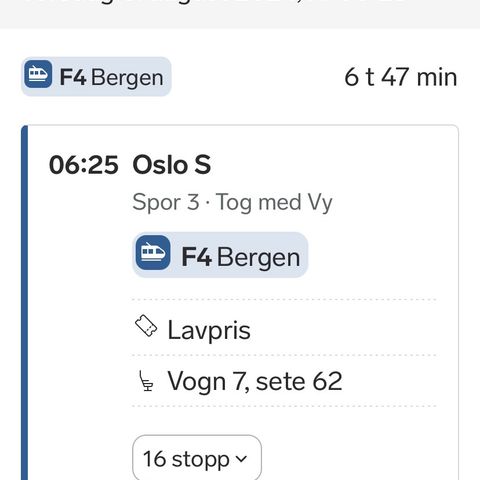 Togbillett Oslo-Bergen