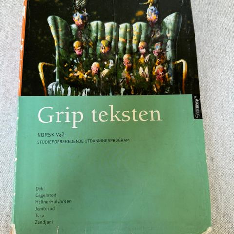 Grip teksten vg 2 og 3