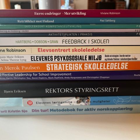 Faglitteratur barn og unge - skoleledelse