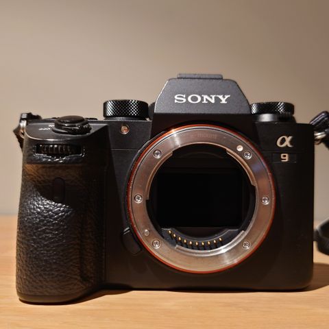 Sony A9