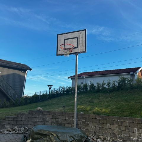 Tress basketballstativ