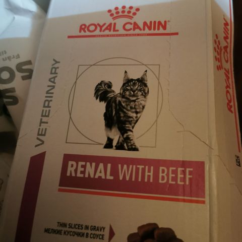 Royal canin renal våtfor til katt