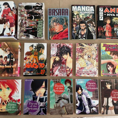 Div Manga og Anime Pocket