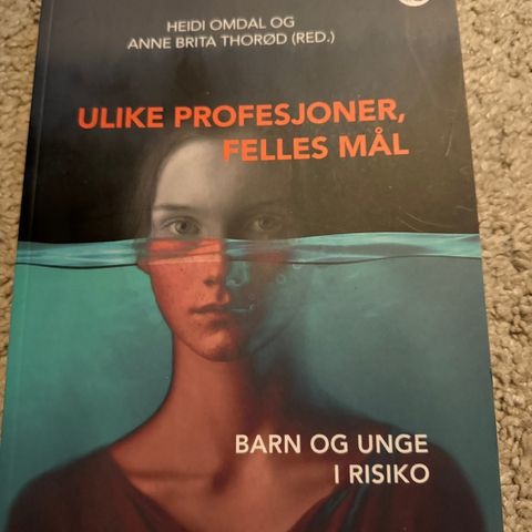 Ulike profesjoner, felles mål. Barn og unge i risiko.