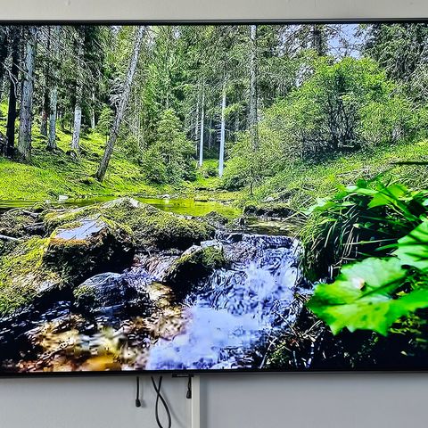 SAMSUNG 55" 4K UHD QLED TV QE55Q8DNA