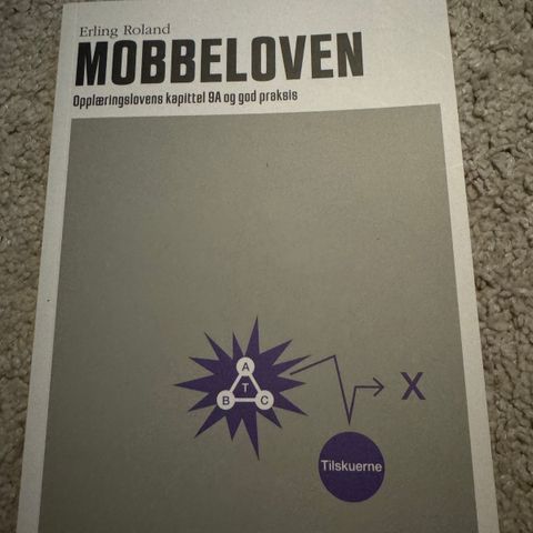 Mobbeloven. Opplæringslovens kapittel 9A og god praksis.