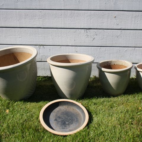 4 stk Blomster/Plante potter i serie