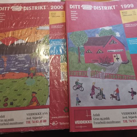 Ditt distrikt 1999 og 2000 fra Stjørdal og omegn