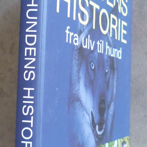 Annonsebilde