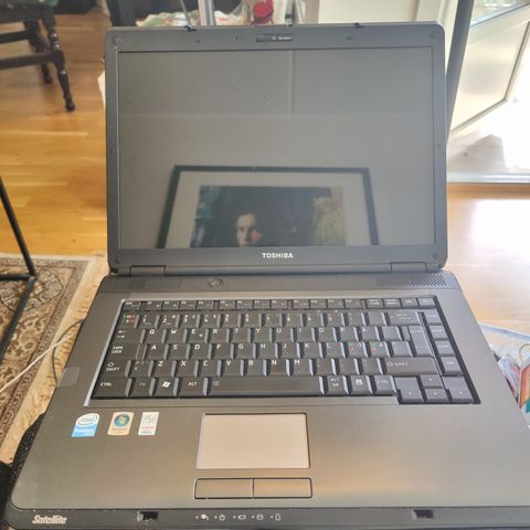 Toshiba Satellite L300