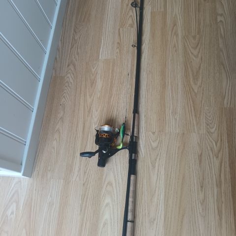 Fishing rod