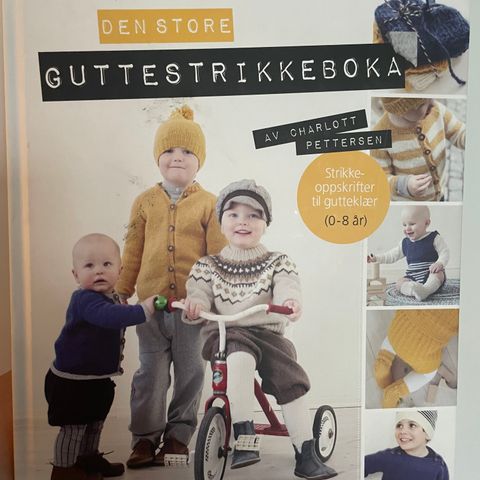 Den store guttestrikkeboka