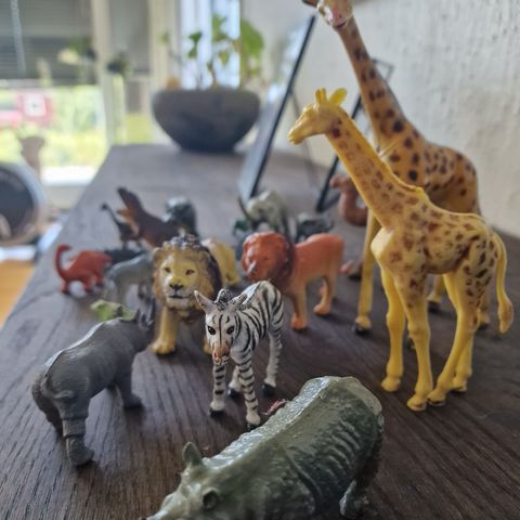 Afrika dyr og dinosaurer