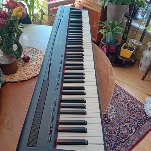 Elpiano - Yamaha digital piano P-95