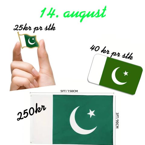 Pakistansk flagg/pins