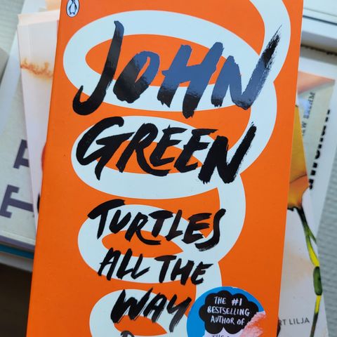 John green  turtles all the way down